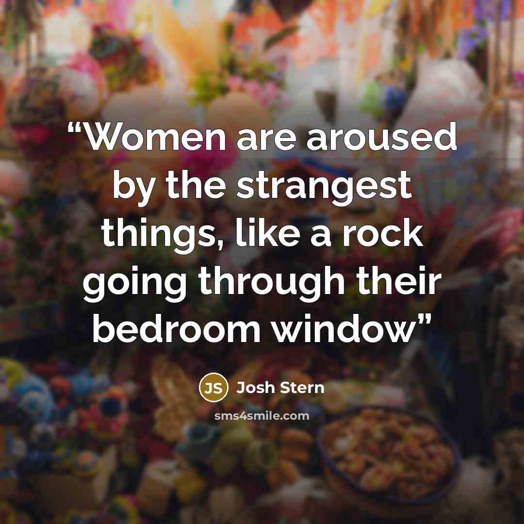 “Women are aroused by the strangest things, like a rock going through their bedroom window” quote by Josh Stern
