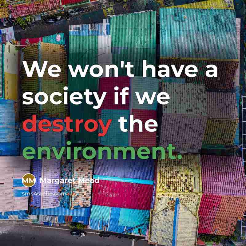 “We won't have a society if we destroy the environment.…” quote by Margaret Mead