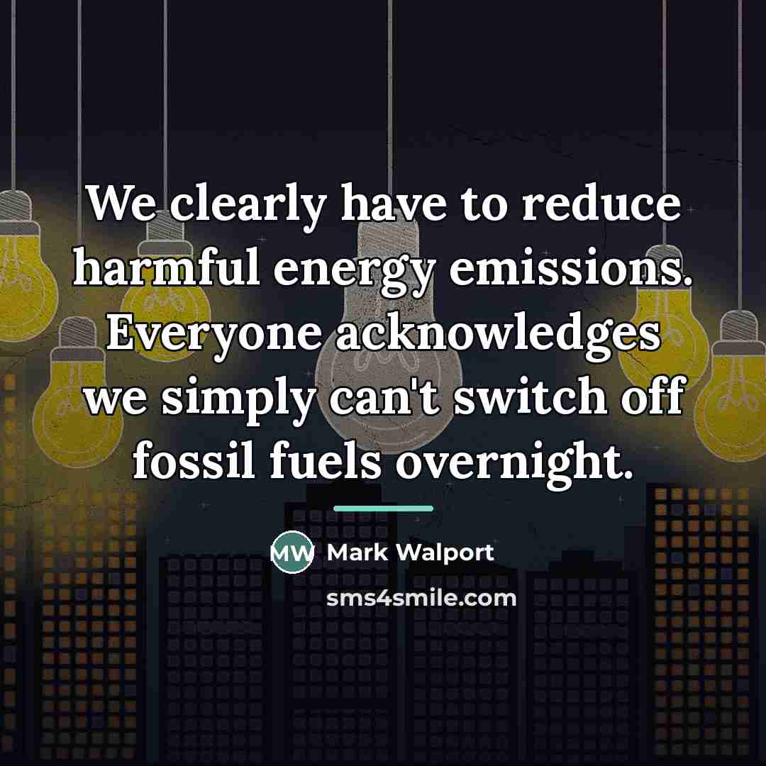 “We clearly have to reduce harmful energy emissions. Everyone acknowledges…” quote by Mark Walport