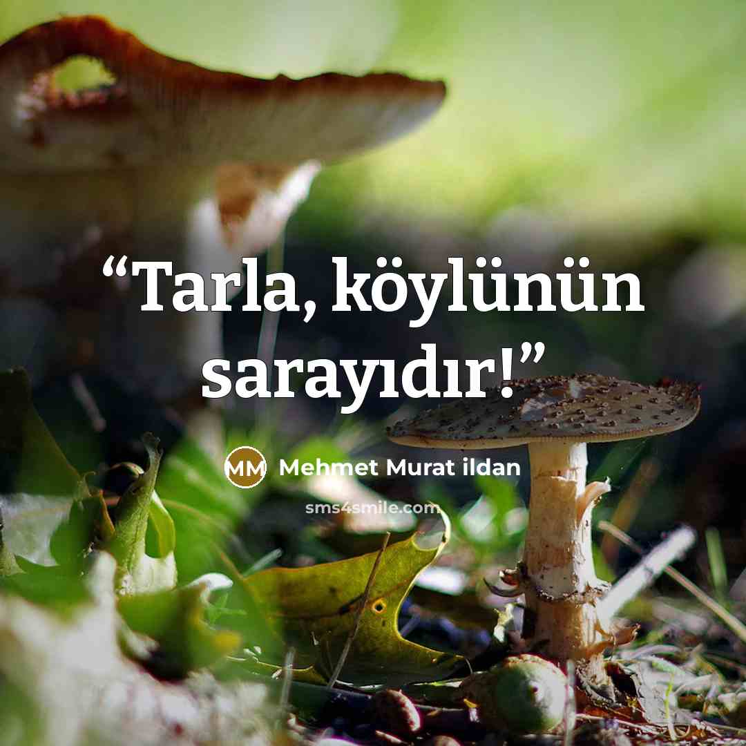 “Tarla, köylünün sarayıdır!” quote by Mehmet Murat ildan
