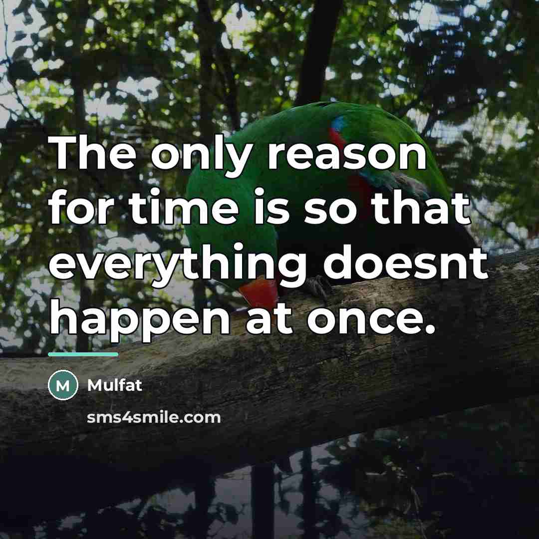 “The only reason for time is so that everything doesnt…” quote by Mulfat