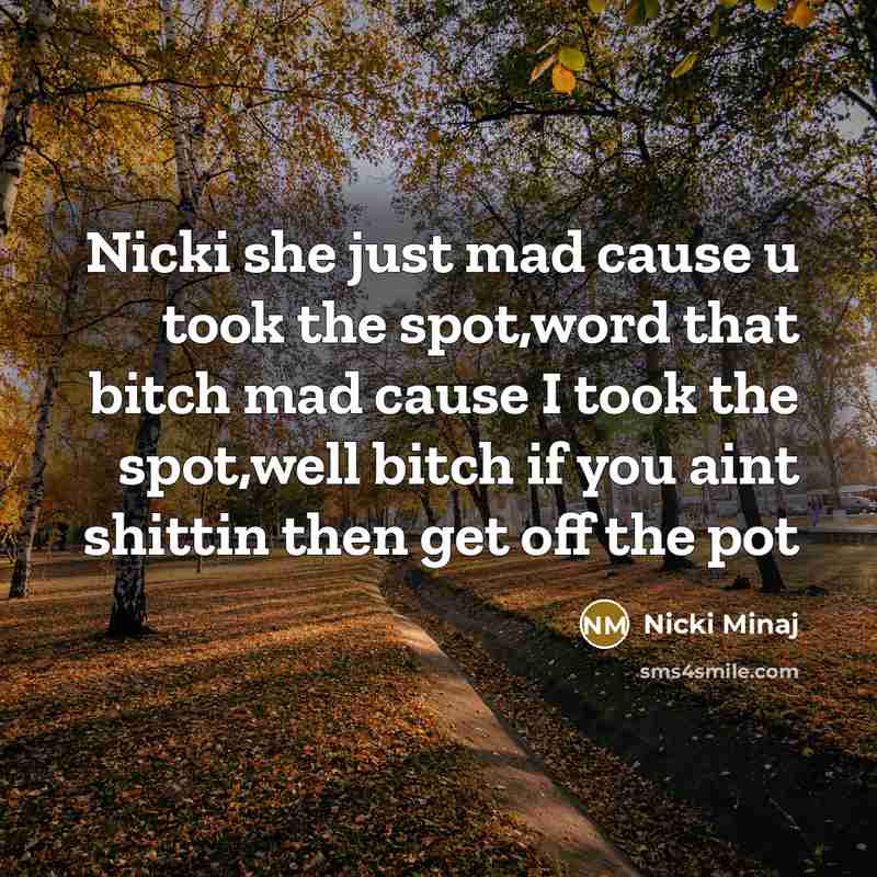 “Nicki she just mad cause u took the spot,word that bitch mad cause I took the spot,well bitch if you aint shittin then get off the pot” quote by Nicki Minaj