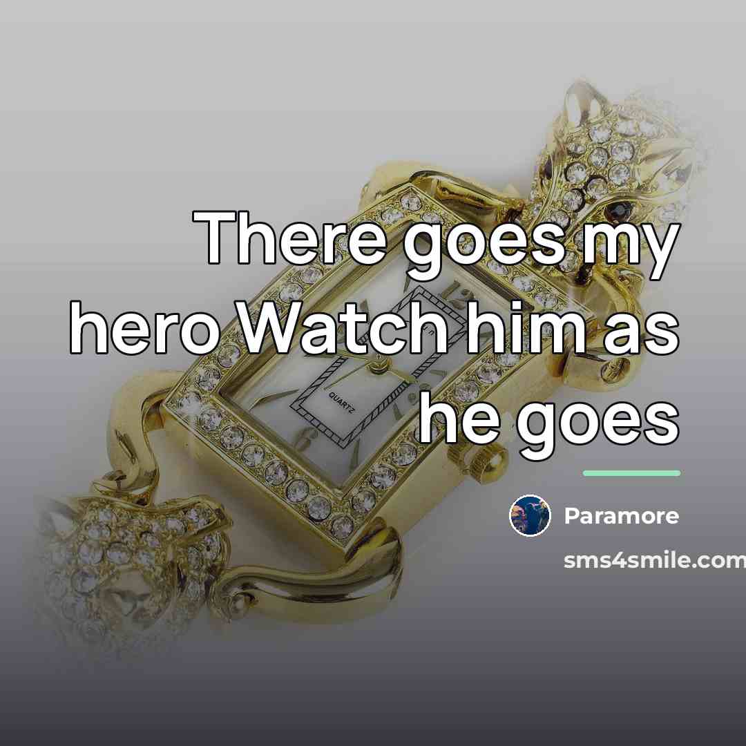 “There goes my hero Watch him as he goes…” quote by Paramore
