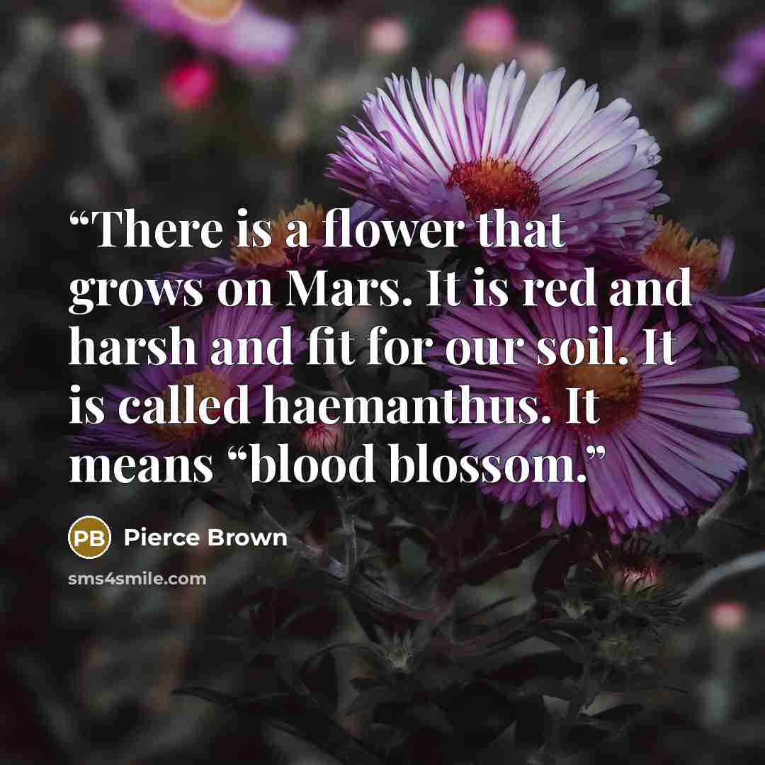 “There is a flower that grows on Mars. It is red and harsh and fit for our soil. It is called haemanthus. It means “blood blossom.” quote by Pierce Brown
