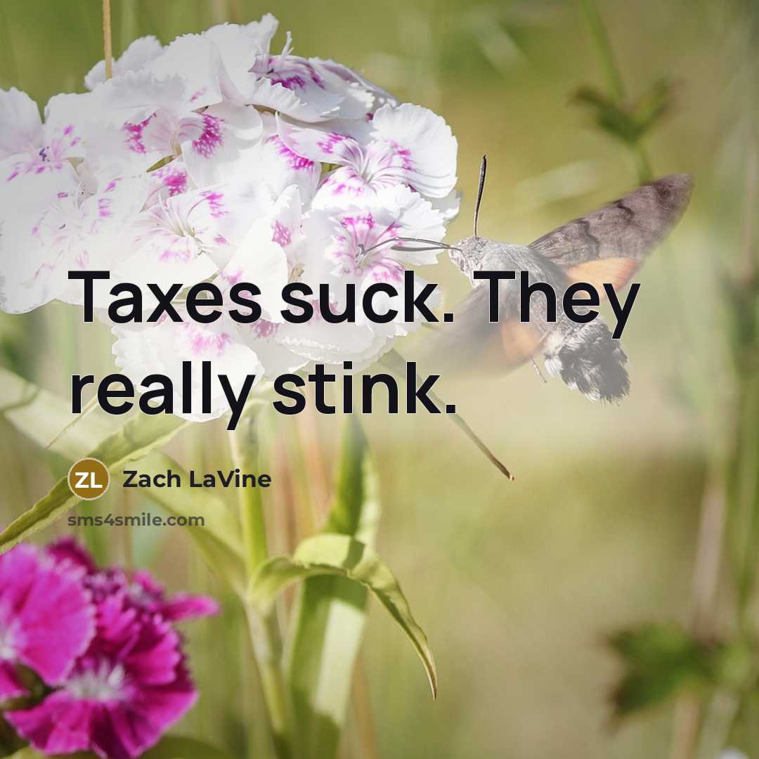 “Taxes suck. They really stink.…” quote by Zach LaVine