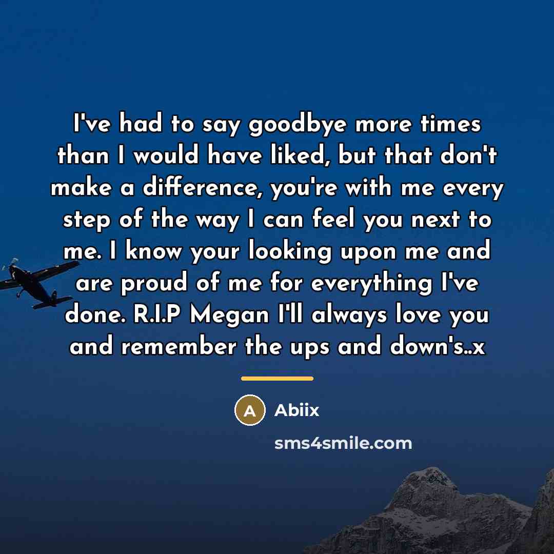 “I've had to say goodbye more times than I would…” quote by Abiix
