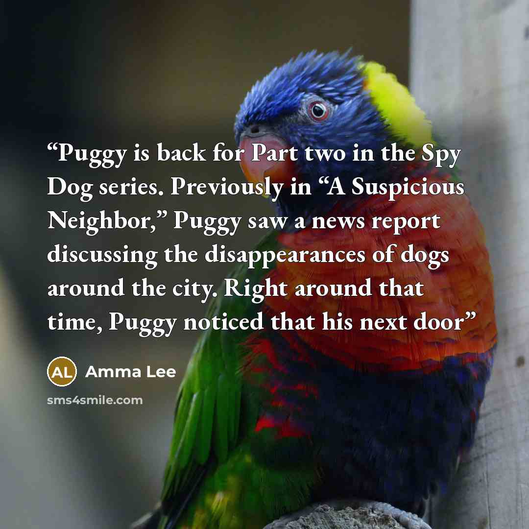 “Puggy is back for Part two in the Spy Dog series. Previously in “A Suspicious Neighbor,” Puggy saw a news report discussing the disappearances of dogs around the city. Right around that time, Puggy noticed that his next door” quote by Amma Lee