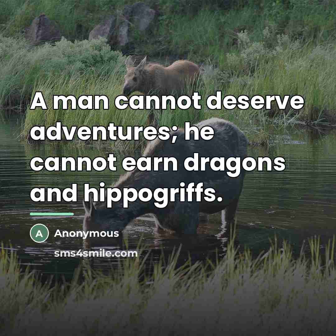 “A man cannot deserve adventures; he cannot earn dragons and…” quote by Anonymous