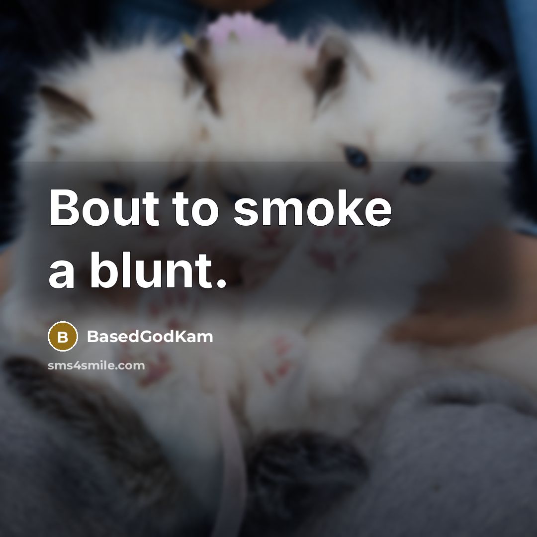 “Bout to smoke a blunt.…” quote by BasedGodKam