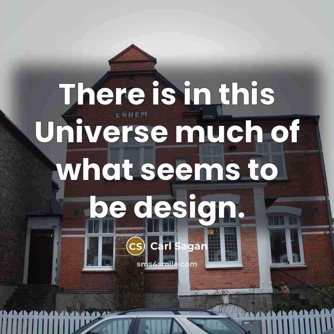 “There is in this Universe much of what seems to…” quote by Carl Sagan