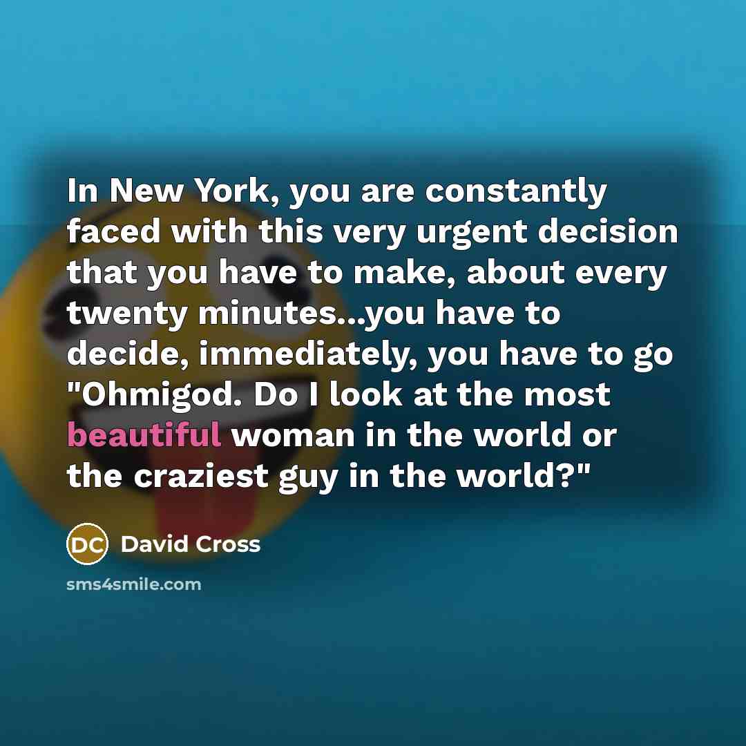 “In New York, you are constantly faced with this very…” quote by David Cross