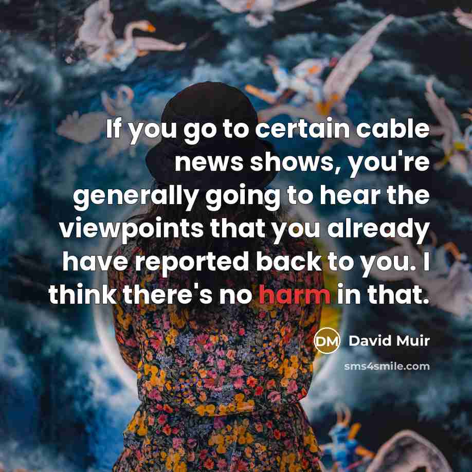 “If you go to certain cable news shows, you're generally…” quote by David Muir
