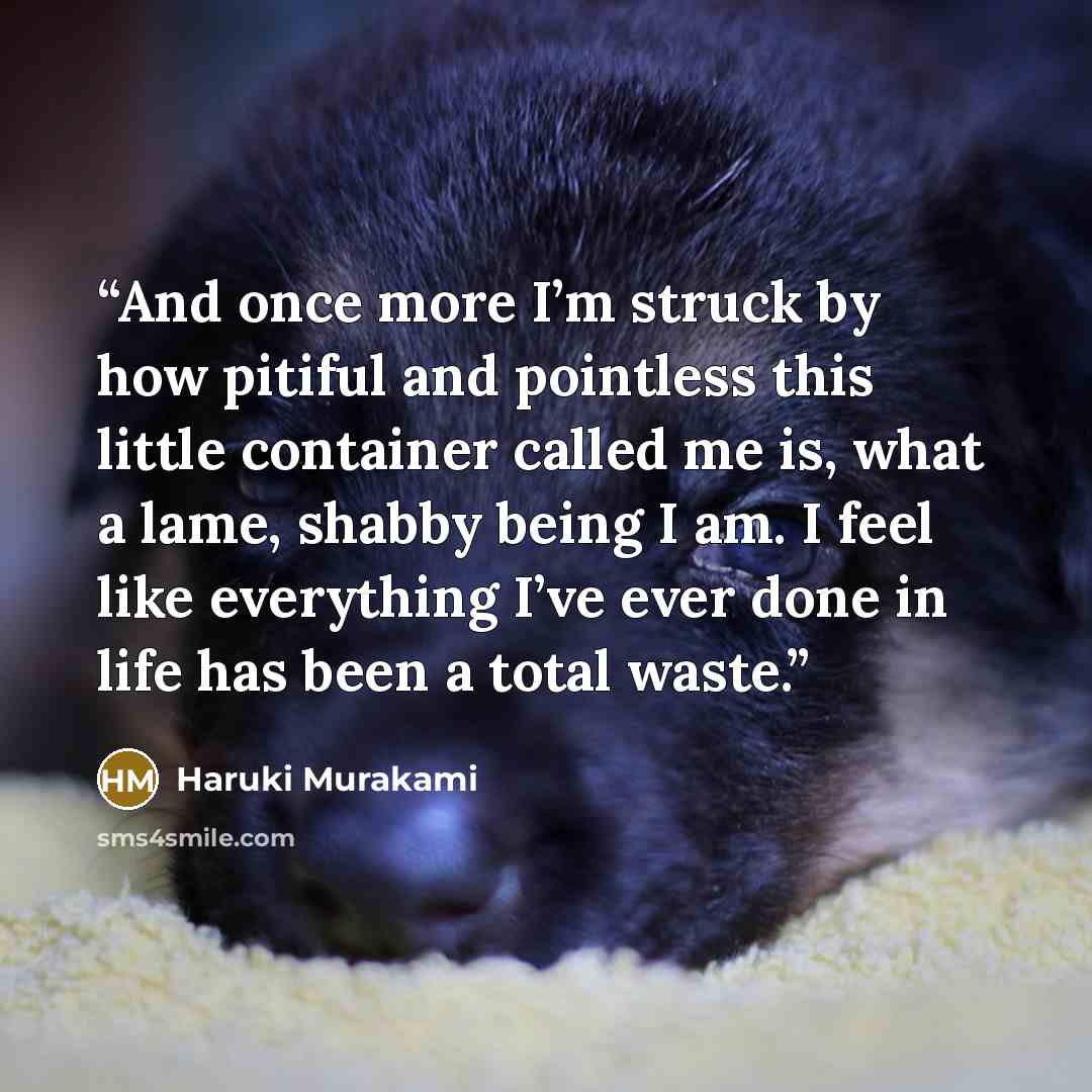 “And once more I’m struck by how pitiful and pointless this little container called me is, what a lame, shabby being I am. I feel like everything I’ve ever done in life has been a total waste.” quote by Haruki Murakami