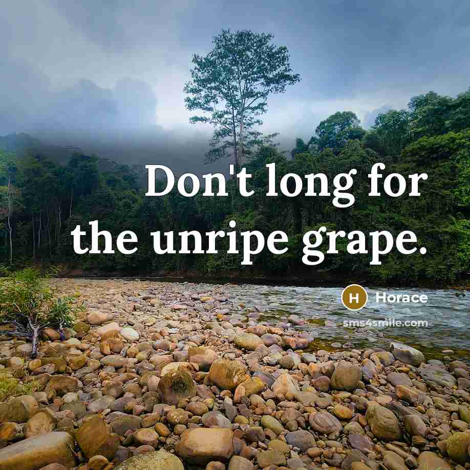 “Don't long for the unripe grape.” quote by Horace