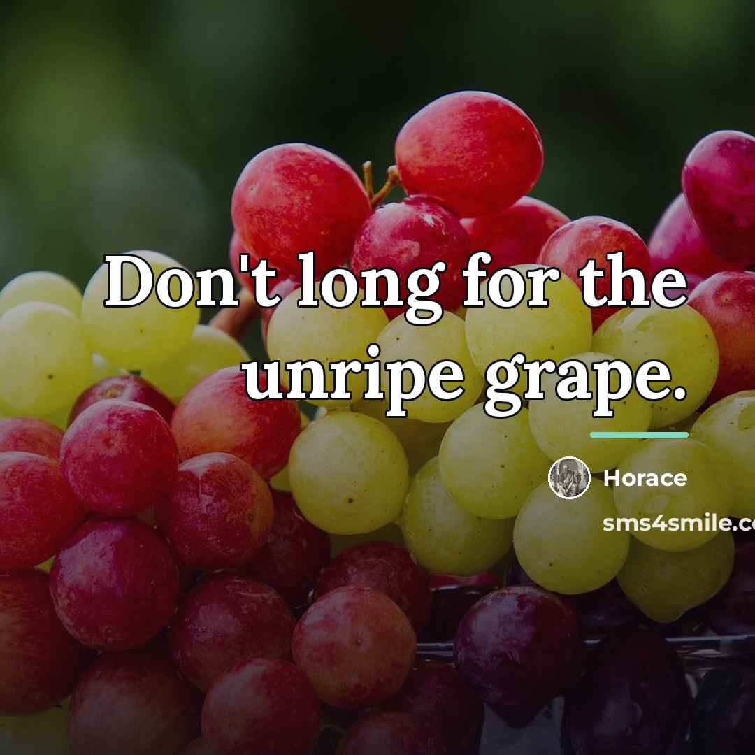 “Don't long for the unripe grape.…” quote by Horace
