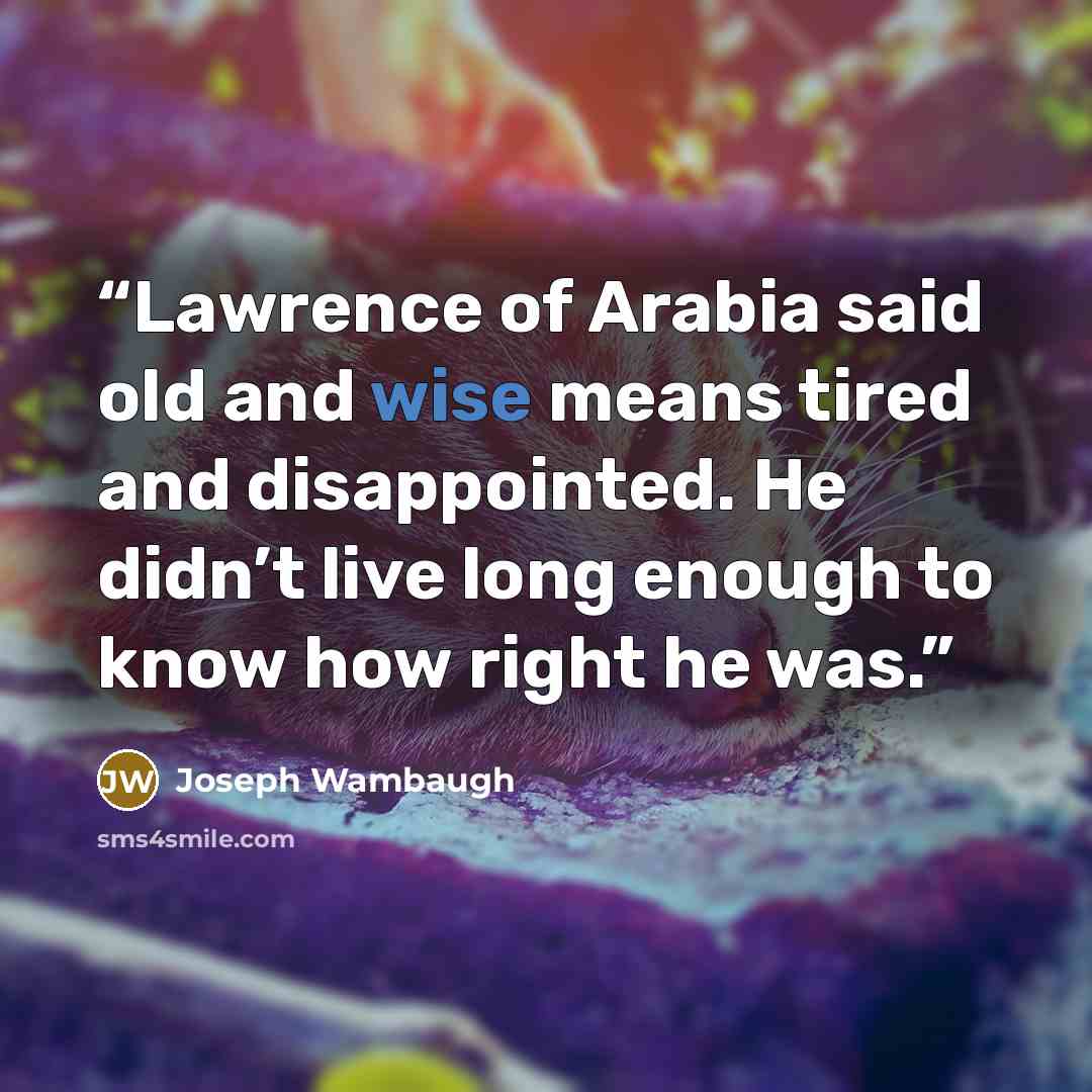 “Lawrence of Arabia said old and wise means tired and disappointed. He didn’t live long enough to know how right he was.” quote by Joseph Wambaugh