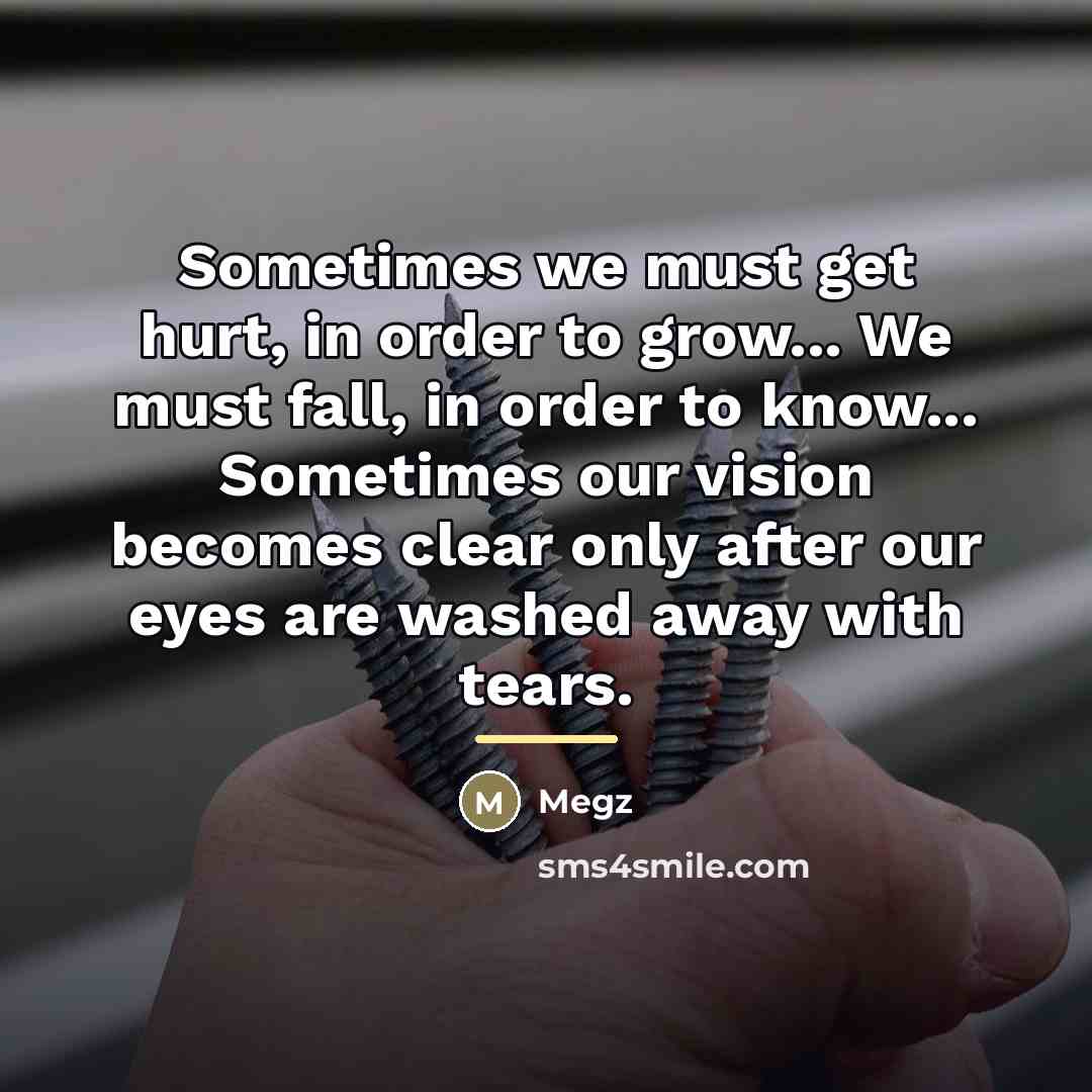 “Sometimes we must get hurt, in order to grow... We…” quote by Megz