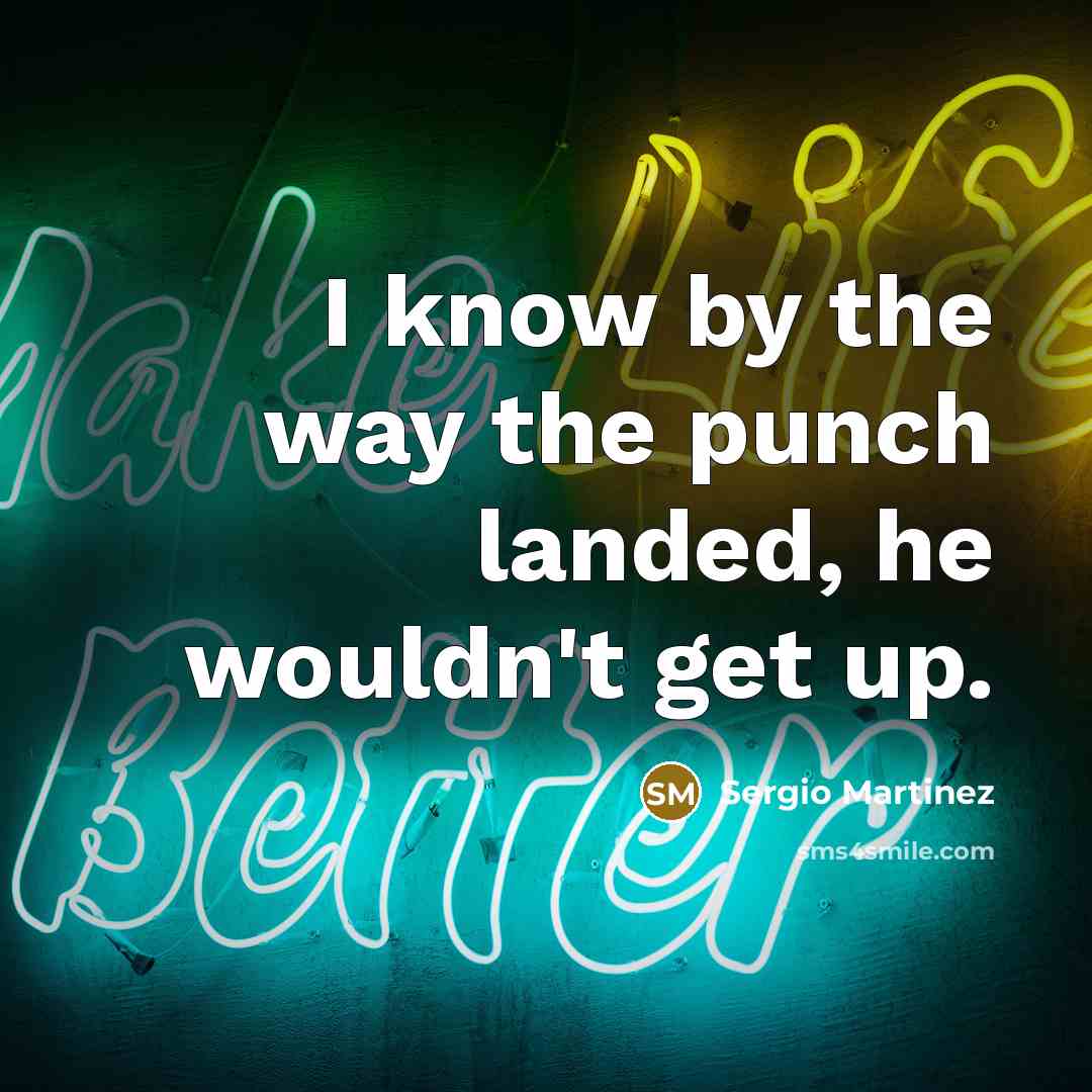 “I know by the way the punch landed, he wouldn't…” quote by Sergio Martinez