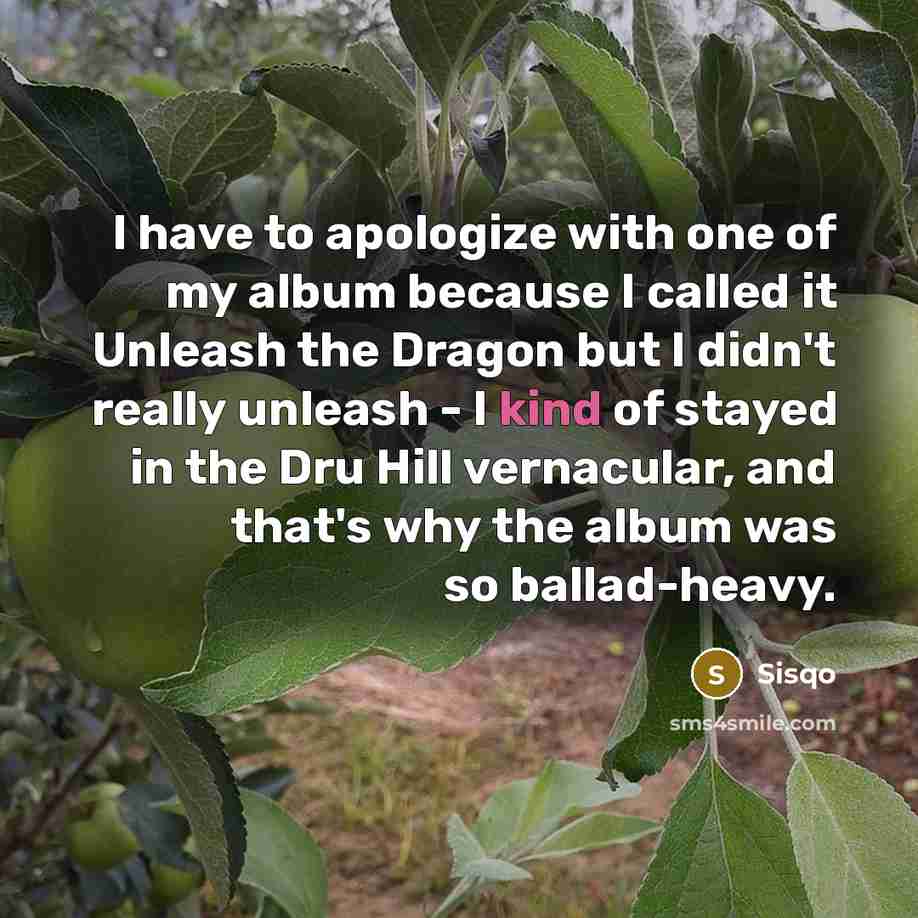 “I have to apologize with one of my album because…” quote by Sisqo