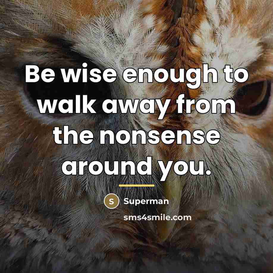 “Be wise enough to walk away from the nonsense around…” quote by Superman