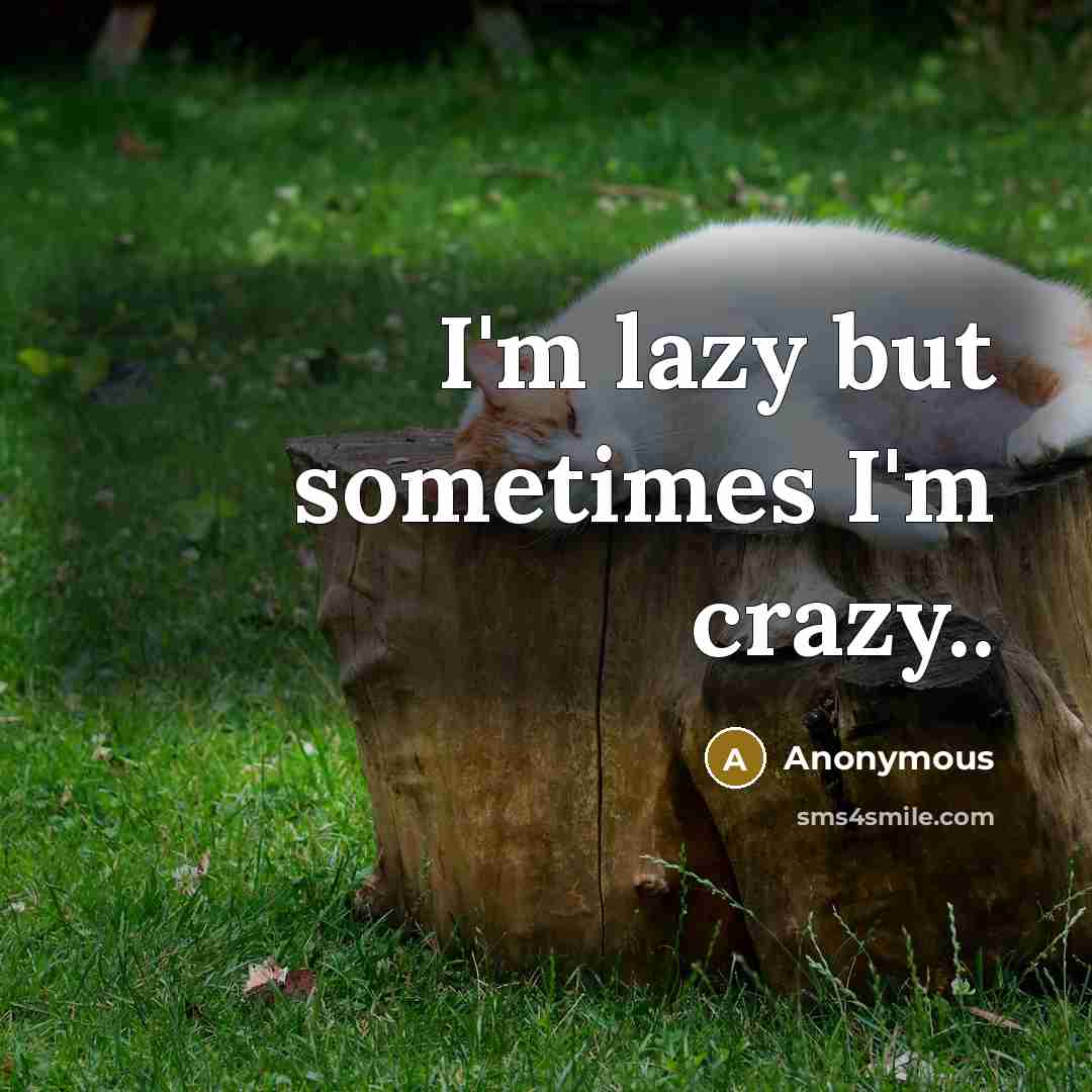 “I'm lazy but sometimes I'm crazy..…” quote by Anonymous