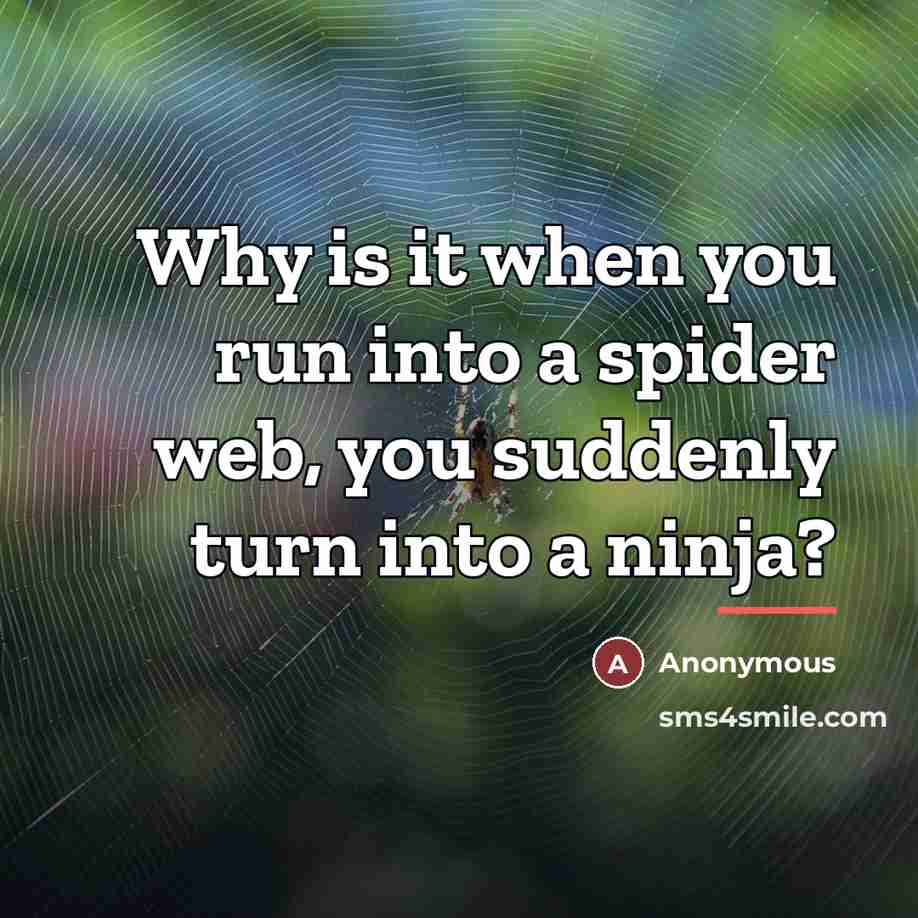 “Why is it when you run into a spider web,…” quote by Anonymous