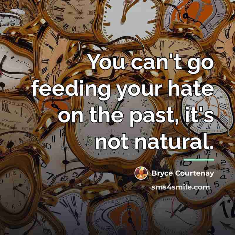 “You can't go feeding your hate on the past, it's…” quote by Bryce Courtenay