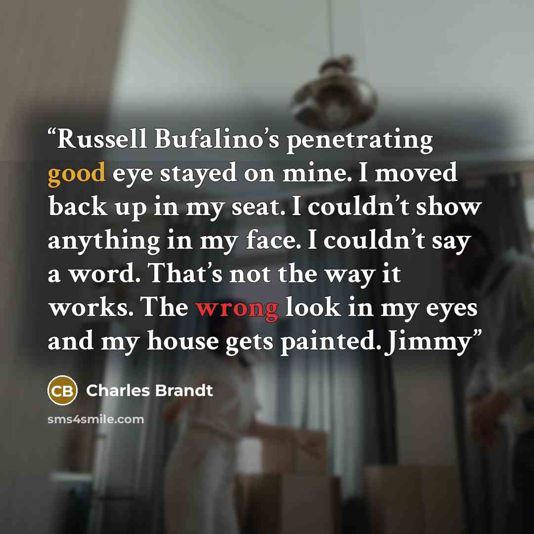 “Russell Bufalino’s penetrating good eye stayed on mine. I moved back up in my seat. I couldn’t show anything in my face. I couldn’t say a word. That’s not the way it works. The wrong look in my eyes and my house gets painted. Jimmy” quote by Charles Brandt