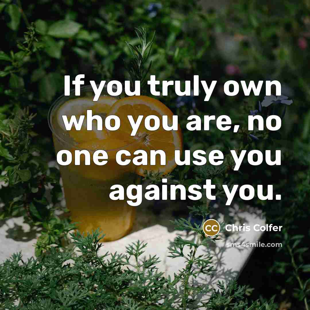 “If you truly own who you are, no one can…” quote by Chris Colfer
