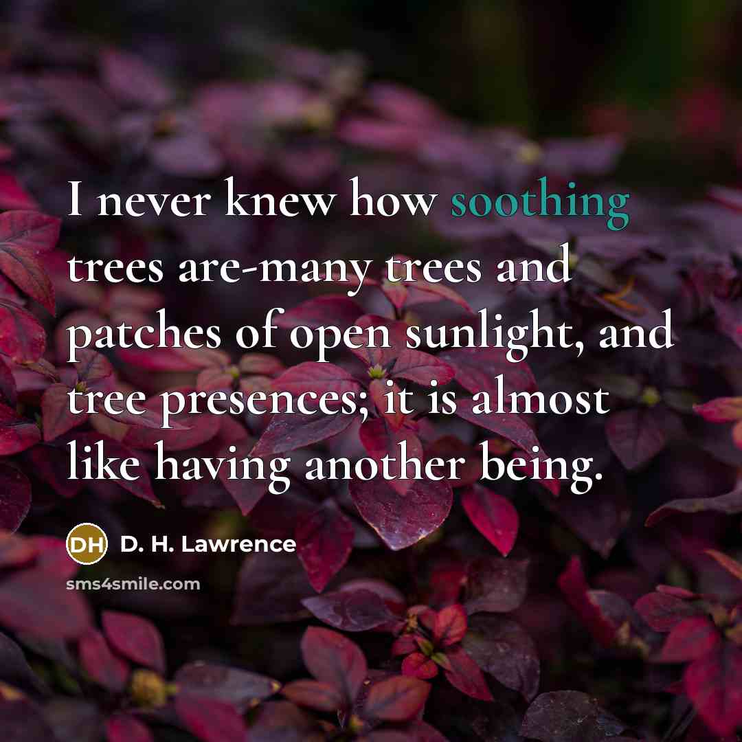 “I never knew how soothing trees are-many trees and patches…” quote by D. H. Lawrence