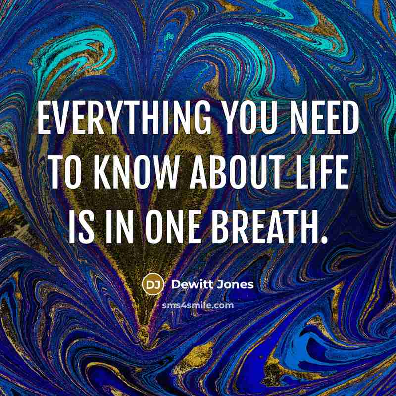“Everything you need to know about life is in one breath.” quote by Dewitt Jones