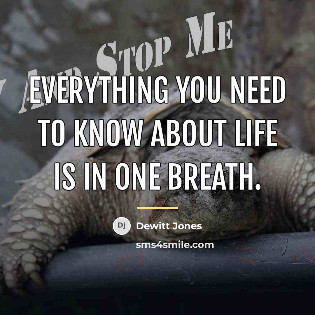“Everything you need to know about life is in one…” quote by Dewitt Jones