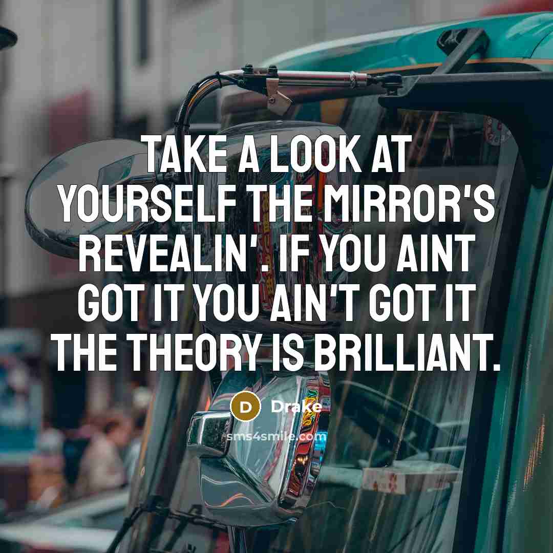 “Take a look at yourself the mirror's revealin'. If you aint got it you ain't got it the theory is brilliant.” quote by Drake