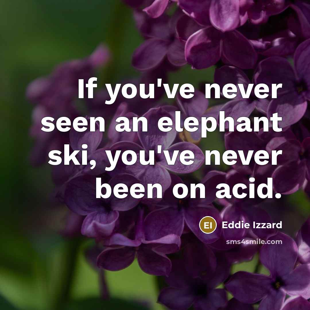 “If you've never seen an elephant ski, you've never been…” quote by Eddie Izzard