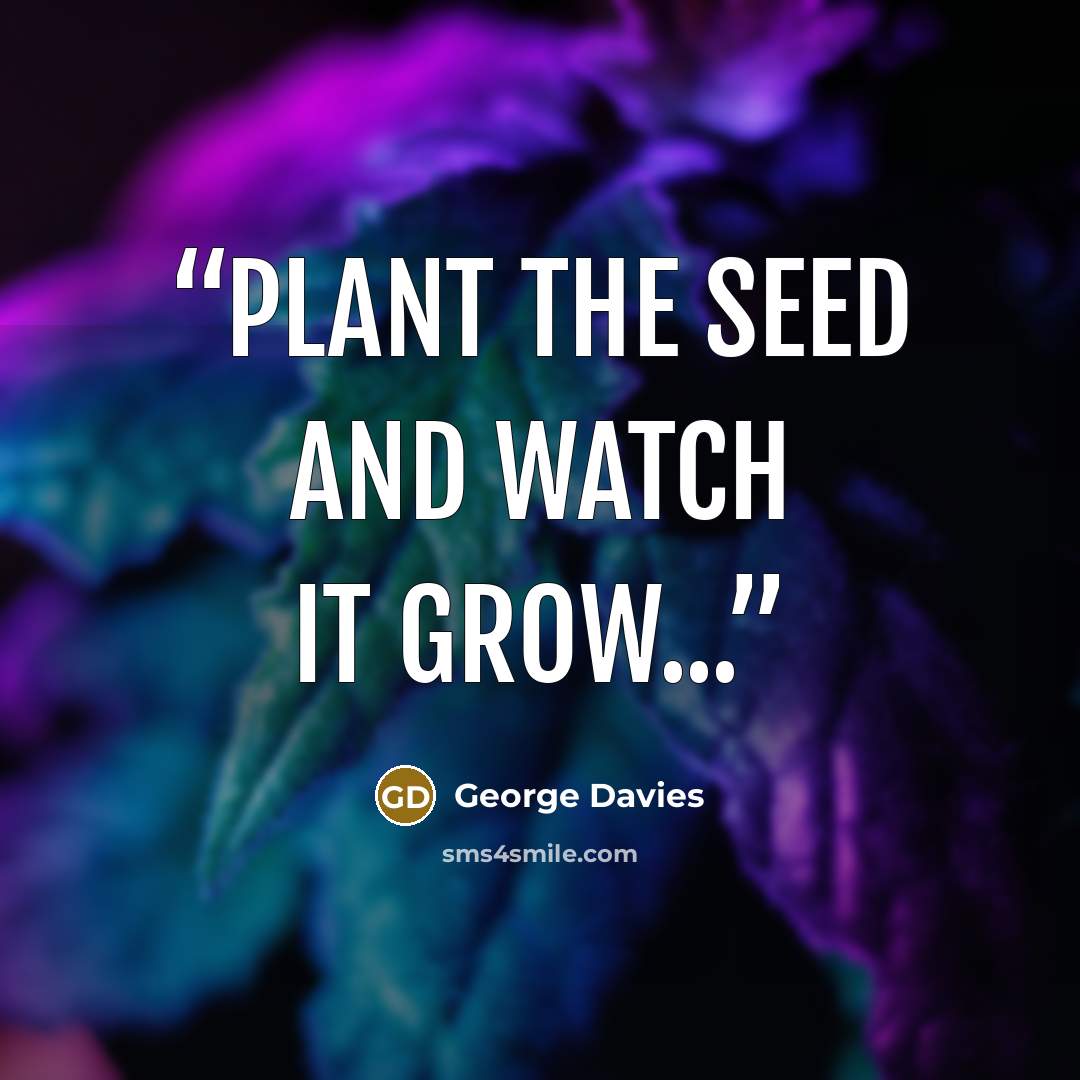 “plant the seed and watch it grow...” quote by George Davies