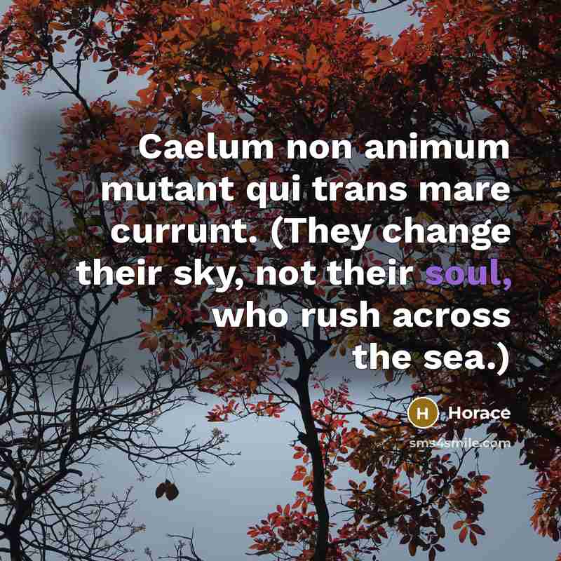 “Caelum non animum mutant qui trans mare currunt. (They change…” quote by Horace