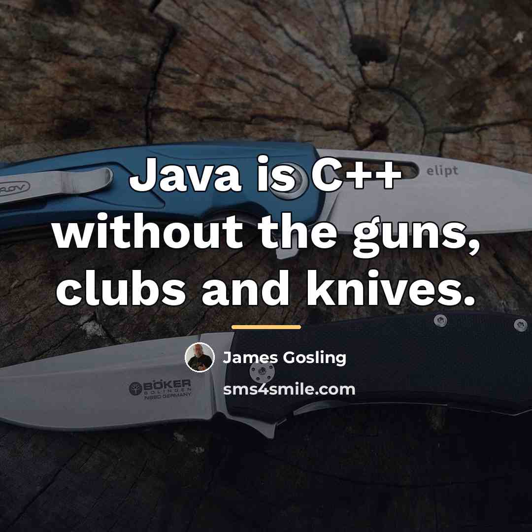 “Java is C++ without the guns, clubs and knives.…” quote by James Gosling