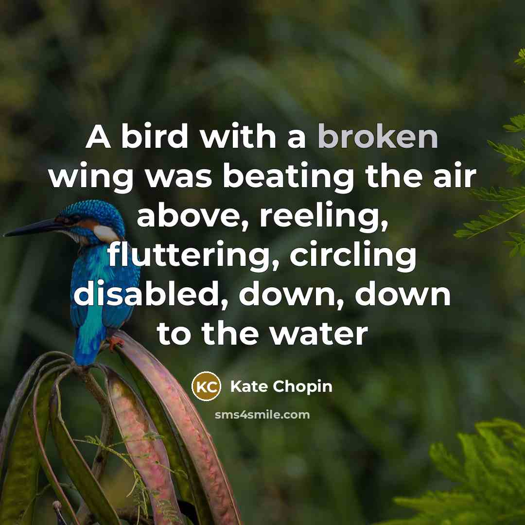 “A bird with a broken wing was beating the air…” quote by Kate Chopin