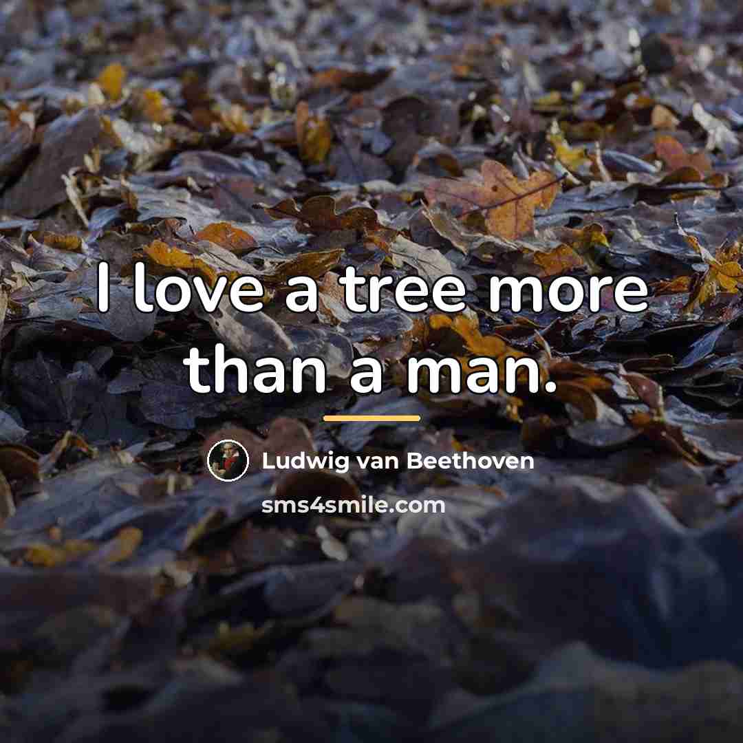 “I love a tree more than a man.…” quote by Ludwig van Beethoven
