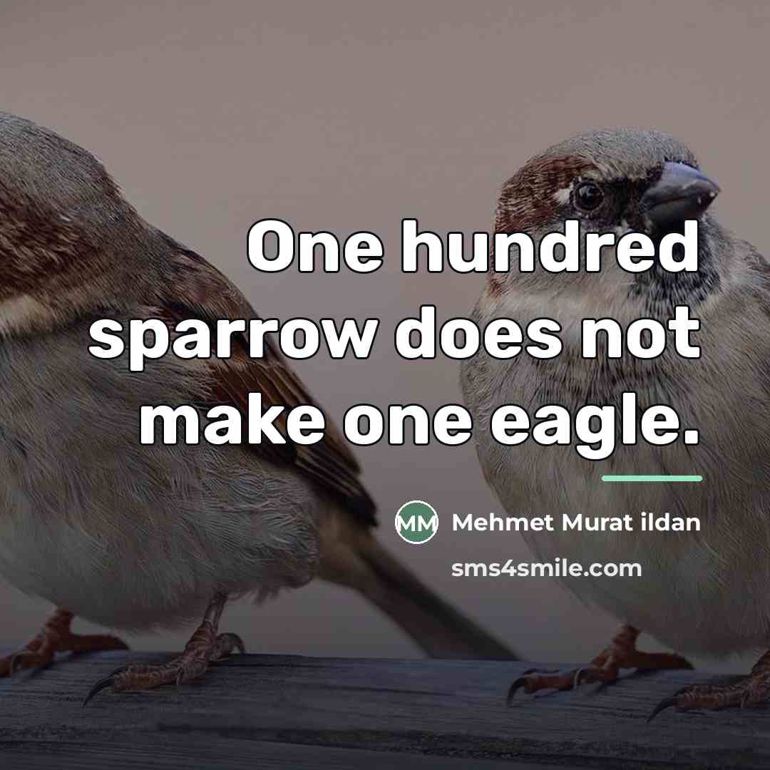 “One hundred sparrow does not make one eagle.…” quote by Mehmet Murat Ildan