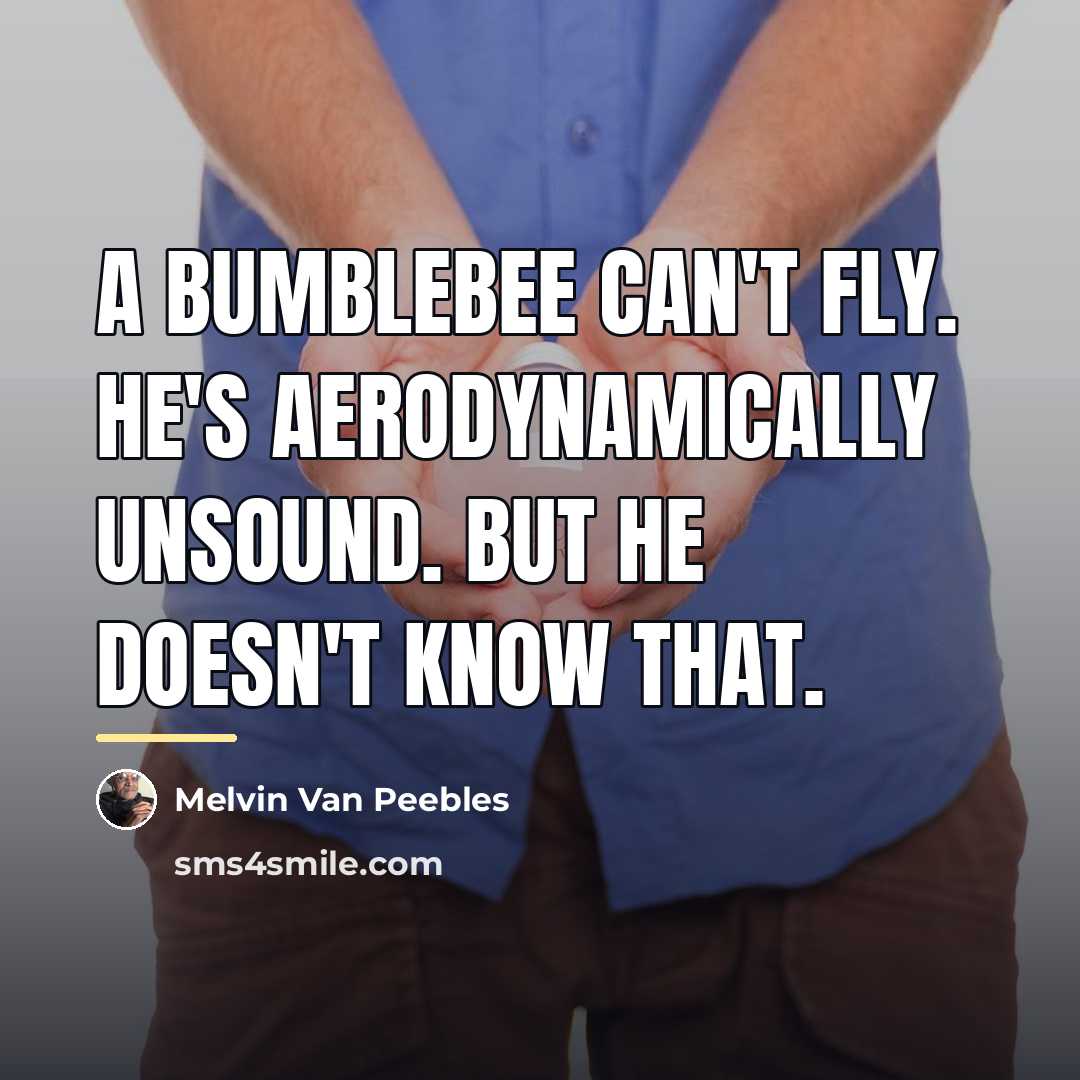 “A bumblebee can't fly. He's aerodynamically unsound. But he doesn't…” quote by Melvin Van Peebles