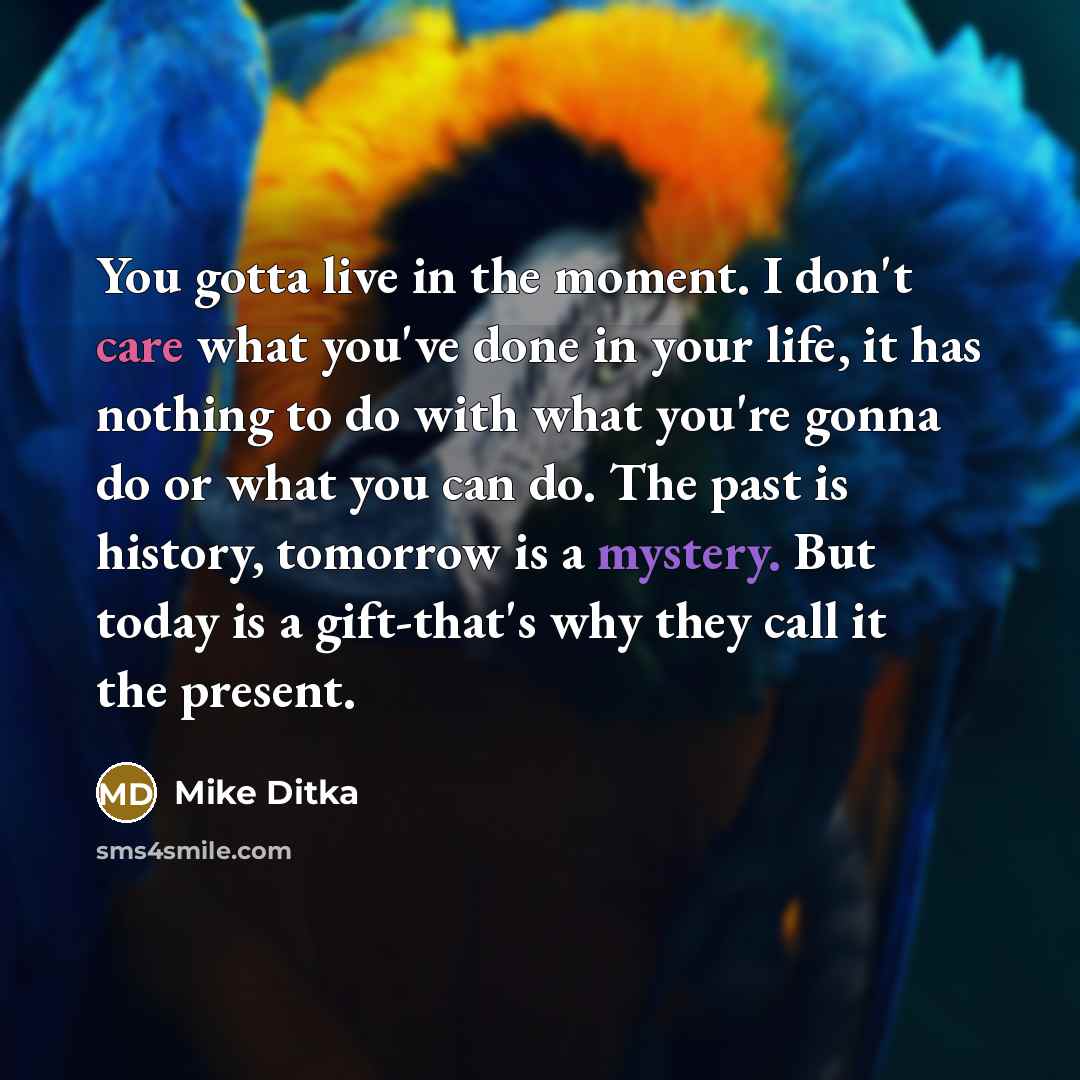 “You gotta live in the moment. I don't care what…” quote by Mike Ditka