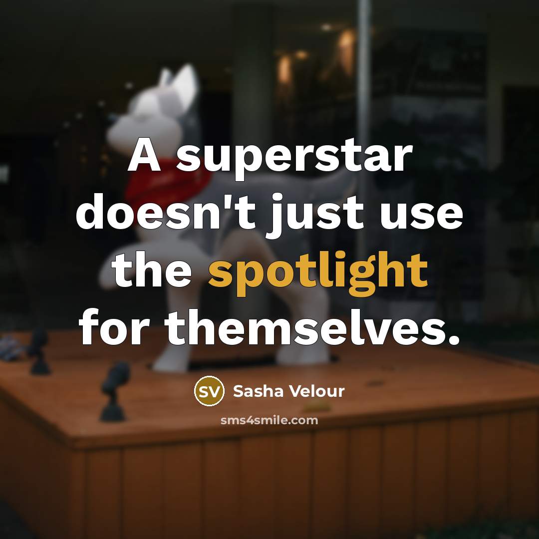 “A superstar doesn't just use the spotlight for themselves.” quote by Sasha Velour