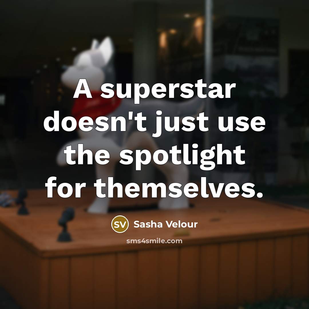 “A superstar doesn't just use the spotlight for themselves.…” quote by Sasha Velour