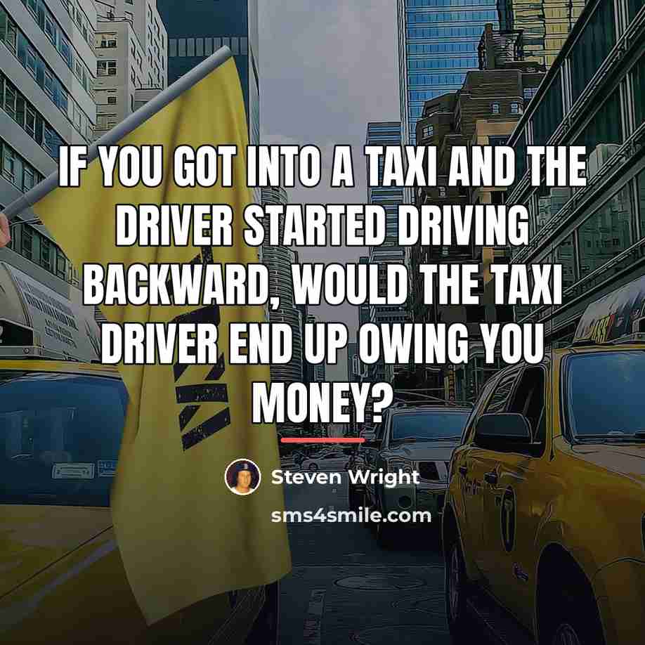 “If you got into a taxi and the driver started…” quote by Steven Wright