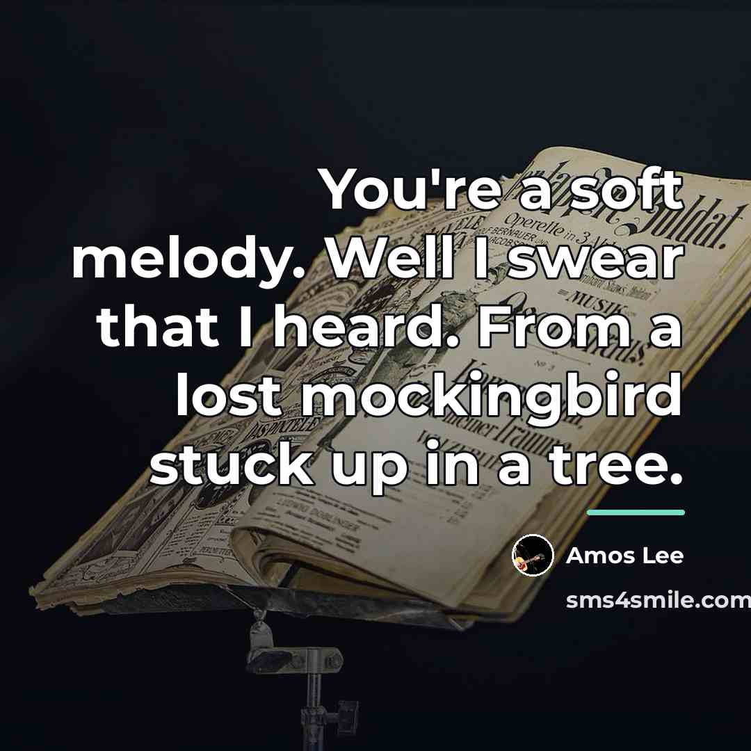 “You're a soft melody. Well I swear that I heard.…” quote by Amos Lee