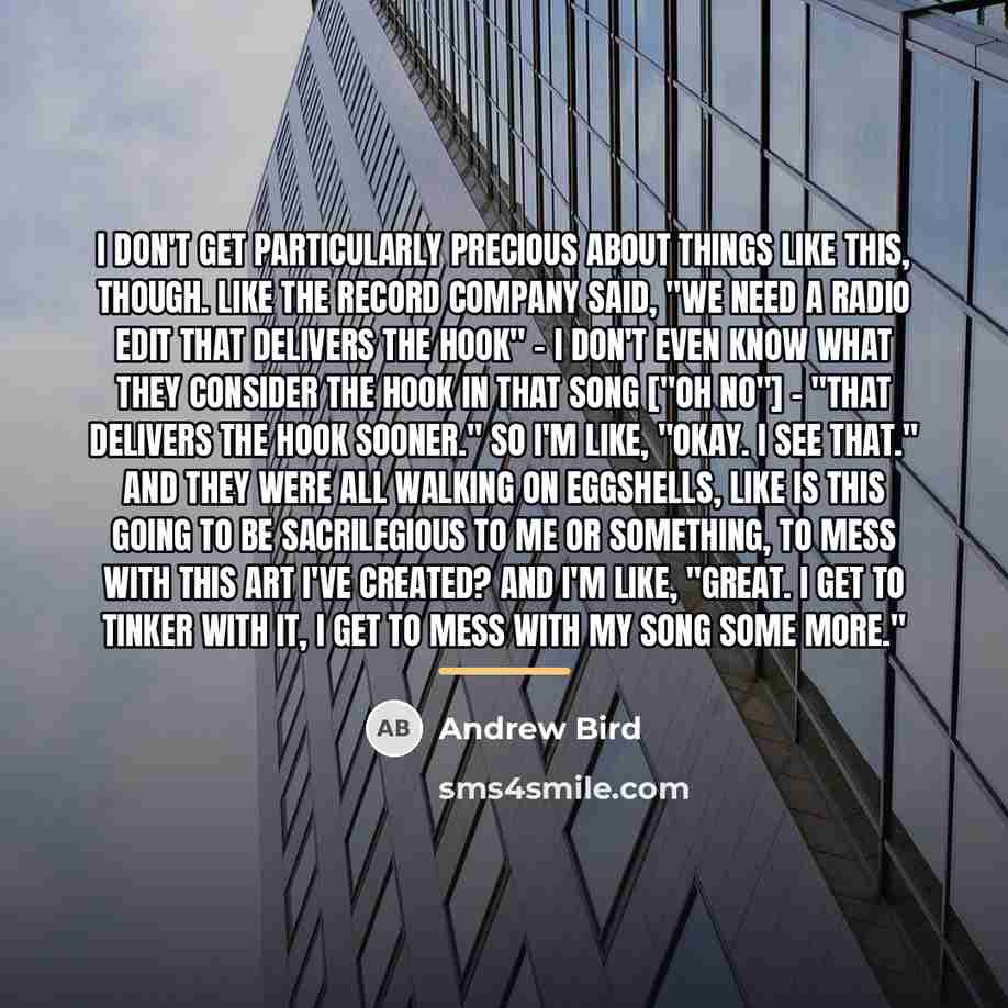 “I don't get particularly precious about things like this, though.…” quote by Andrew Bird