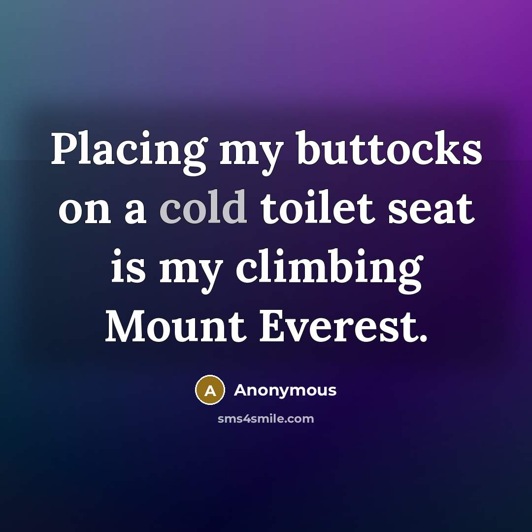 “Placing my buttocks on a cold toilet seat is my climbing Mount Everest.” quote by Anonymous