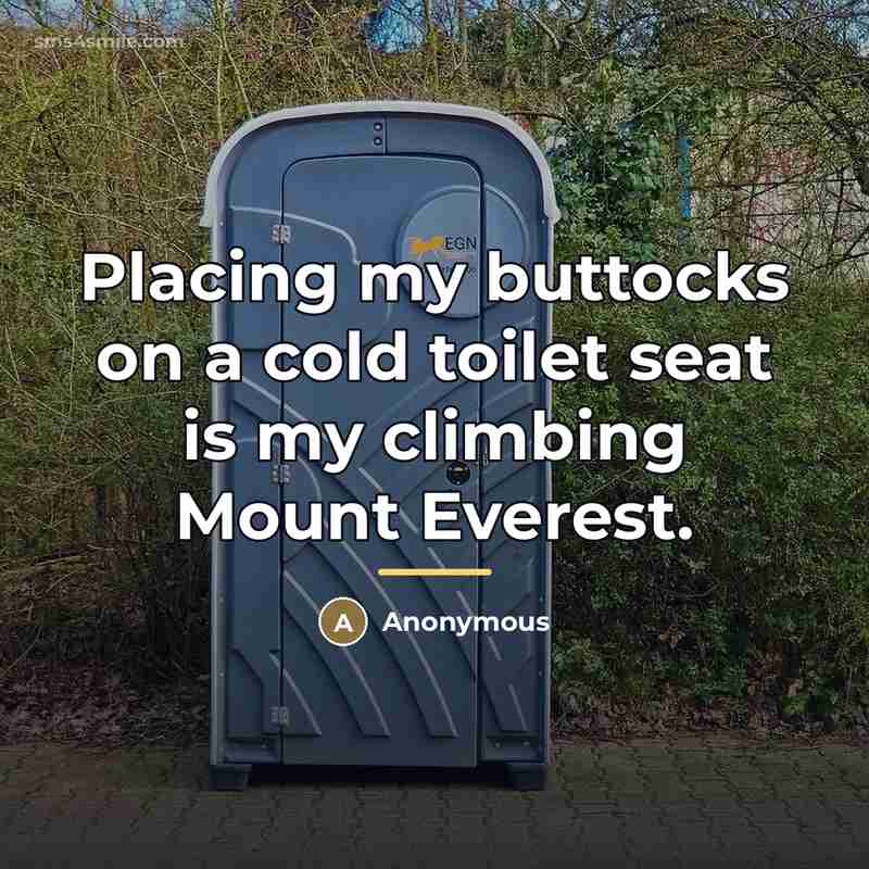 “Placing my buttocks on a cold toilet seat is my…” quote by Anonymous
