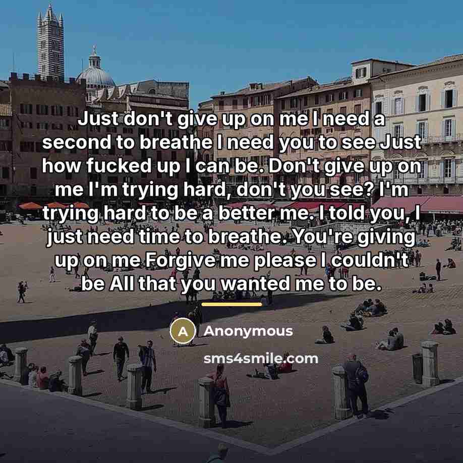 “Just don't give up on me I need a second…” quote by Anonymous
